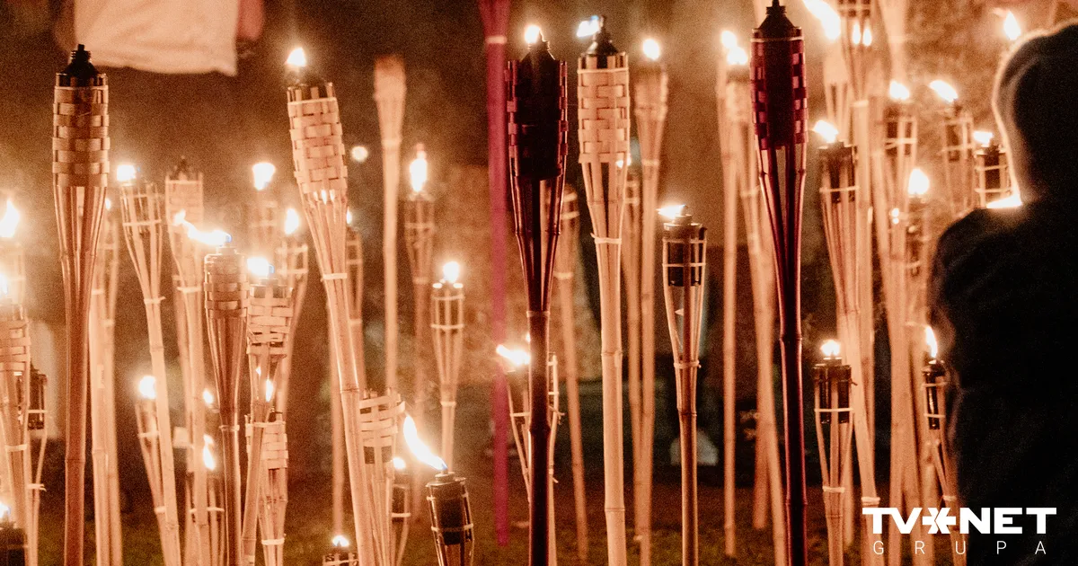 Tiek vākti paraksti par Lāčplēša dienas nosaukuma maiņu