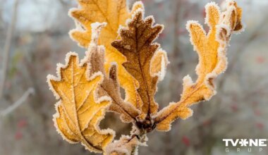 Kādi laikapstākļi gaidāmi nedēļas nogalē?