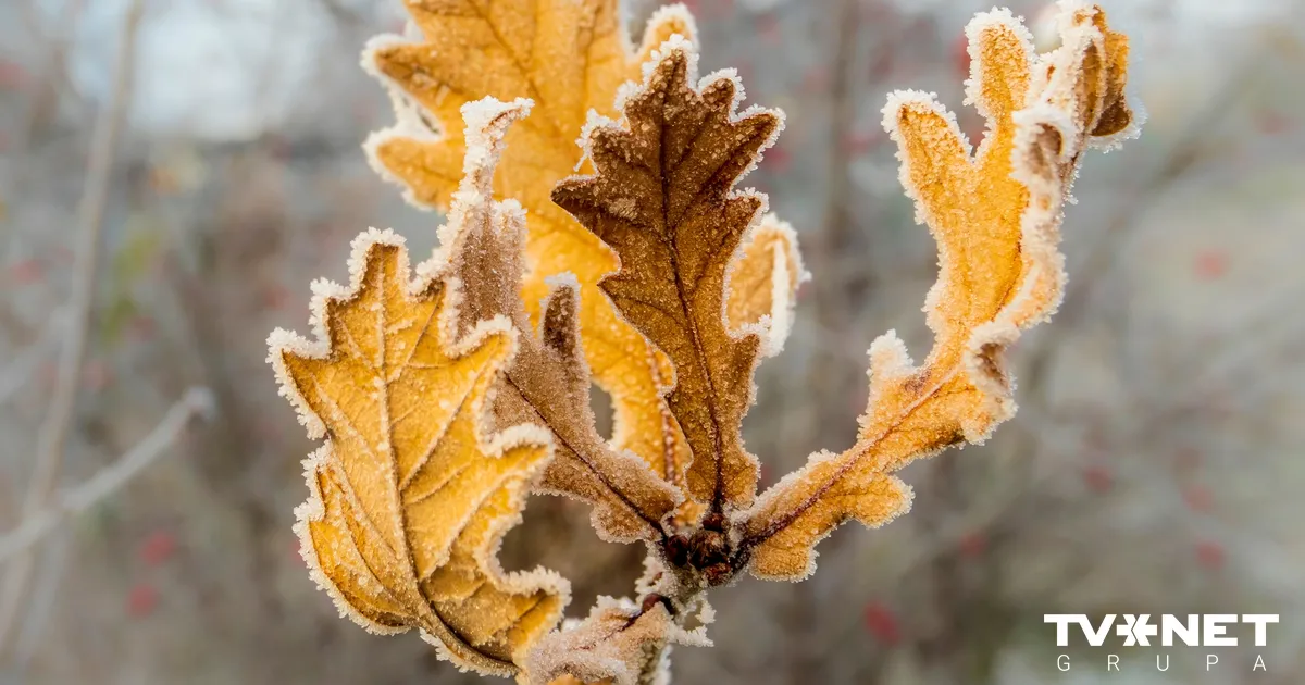 Kādi laikapstākļi gaidāmi nedēļas nogalē?