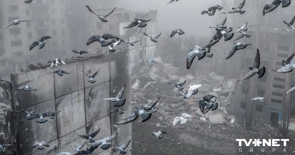 ASV un Ukrainas sarunās galvenais temats bija faktiskā robeža, apgalvo medijs