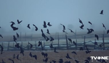 Arī piektdiena Latvijā būs drūma un apmākusies