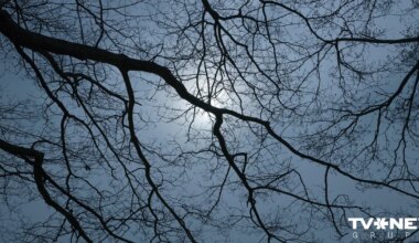 Kādi laikapstākļi Latvijā gaidāmi tuvākajā nedēļā? - Apollo.lv