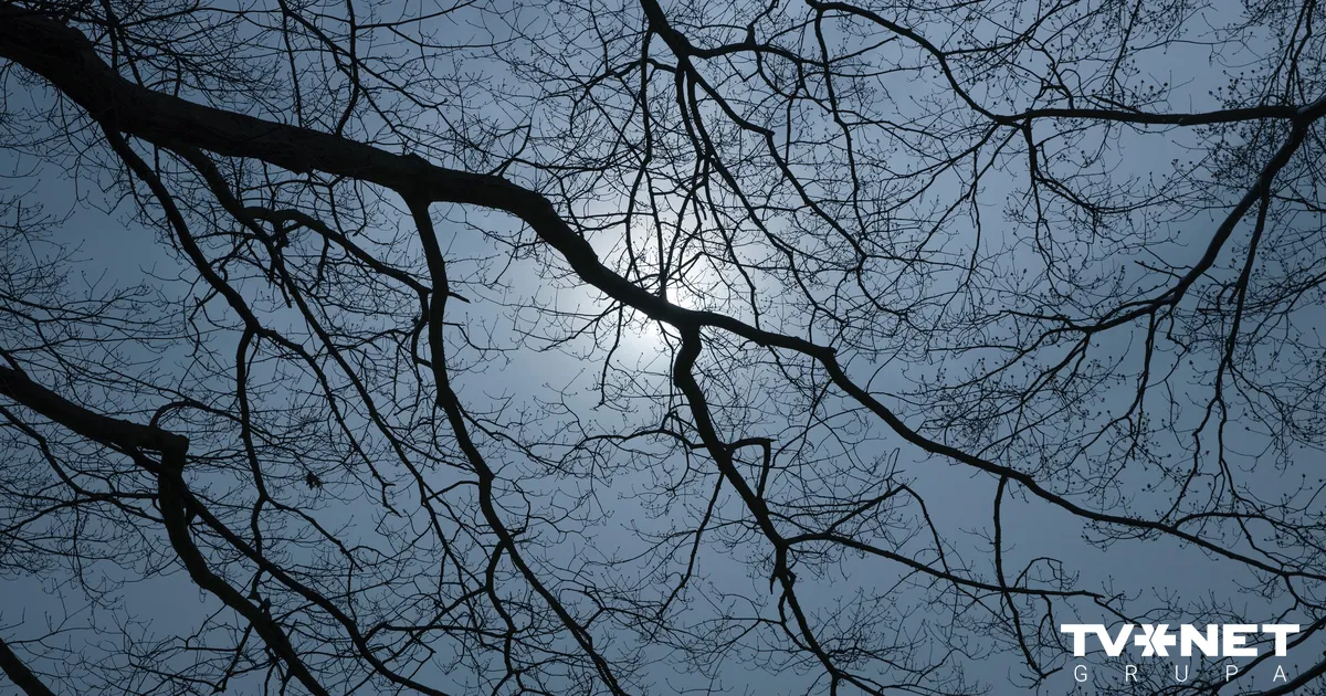 Kādi laikapstākļi Latvijā gaidāmi tuvākajā nedēļā? - Apollo.lv