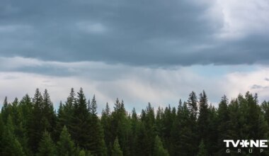 Sestdien gaisa temperatūra sasniegs +7 grādus