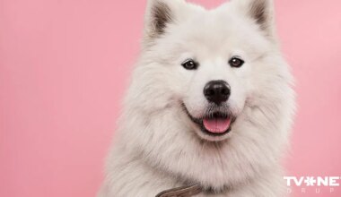 Horoskops otrdienai, 16. decembrim - TVNET