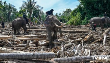 Plūdos Indonēzijā gandrīz 1000 bojāgājušo