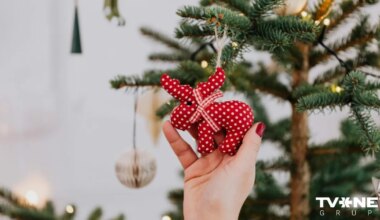 Minimālisms, mežģīnes un dabas akcenti jeb kā 2025. gadā stilīgi izrotāt Ziemassvētku eglīti