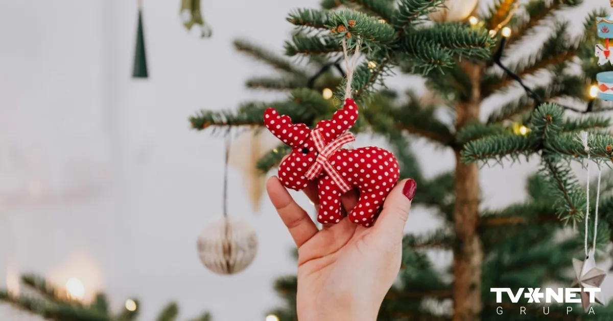 Minimālisms, mežģīnes un dabas akcenti jeb kā 2025. gadā stilīgi izrotāt Ziemassvētku eglīti