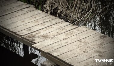 Tiesas priekšā stāsies māte, kuras nolaidības dēļ Ropažu novadā dīķī noslīka sešus gadus veca meita