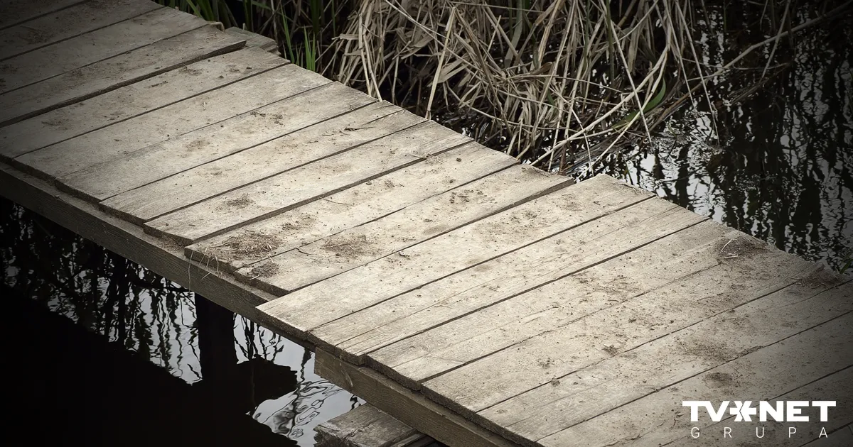 Tiesas priekšā stāsies māte, kuras nolaidības dēļ Ropažu novadā dīķī noslīka sešus gadus veca meita