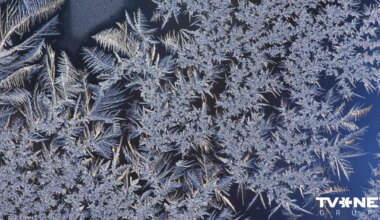 Sestdien lielākajā valsts daļā gaidāms sals