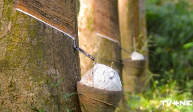 Krievija paļaujas uz importētu dabīgo kaučuku, ko tai piegādājot arī caur Latviju