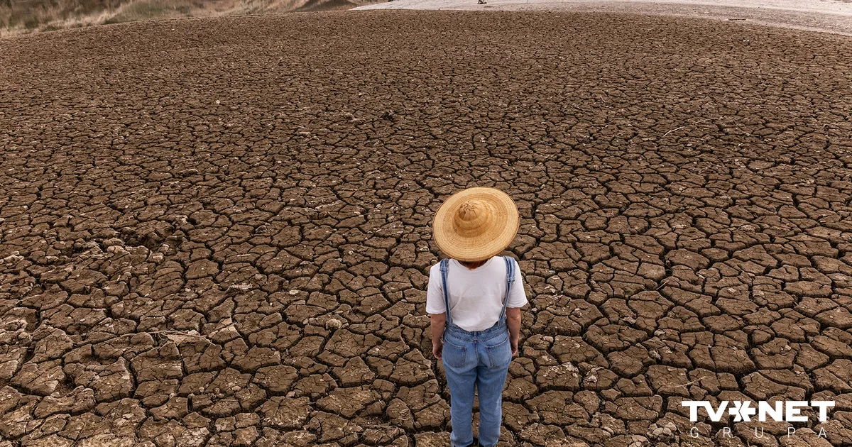Mākslīgā intelekta ēnas puse, par ko aizdomājas retais