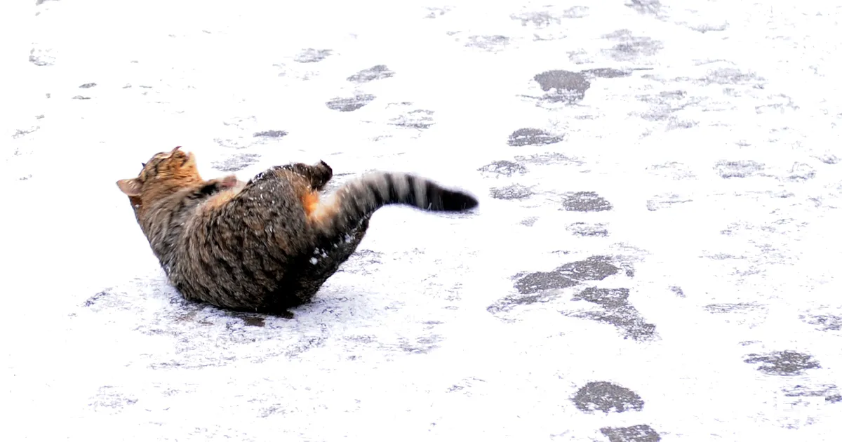 Sinoptiķi prognozē, kad Latvijā atgriezīsies sals