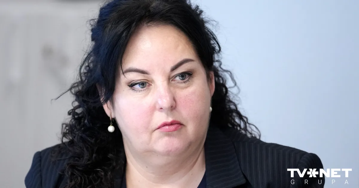 SIF padome apstiprina divus Mediju atbalsta fonda konkursu nolikumus