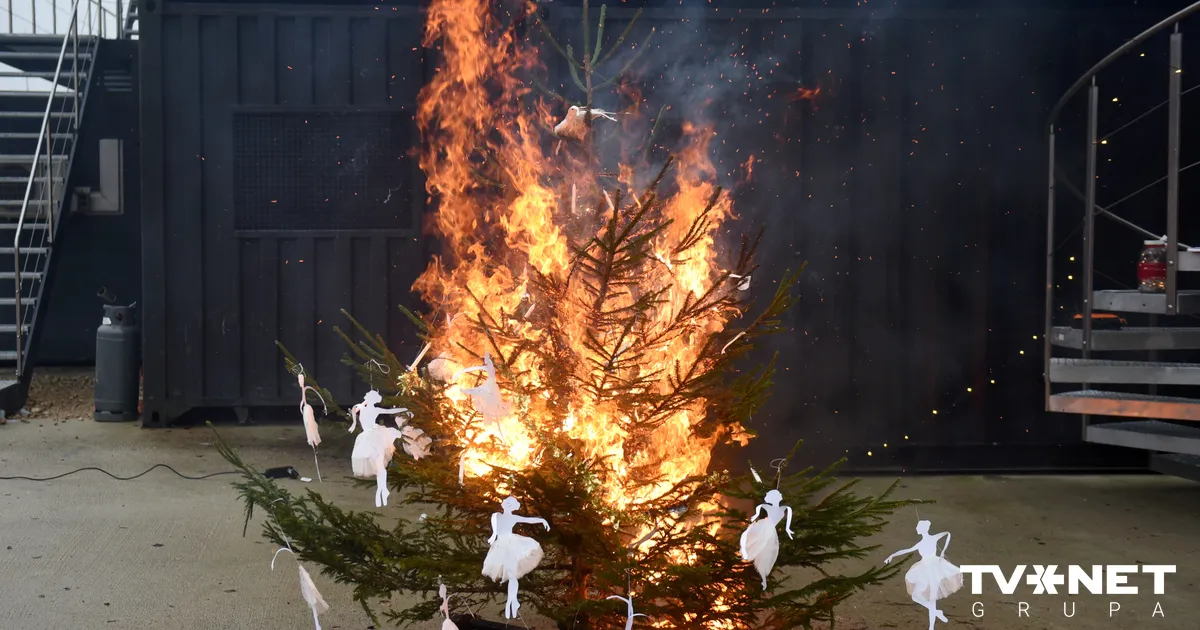 FOTO ⟩ Operatīvie dienesti atgādina: droši svētki sākas ar katra paša rīcību - Apollo.lv