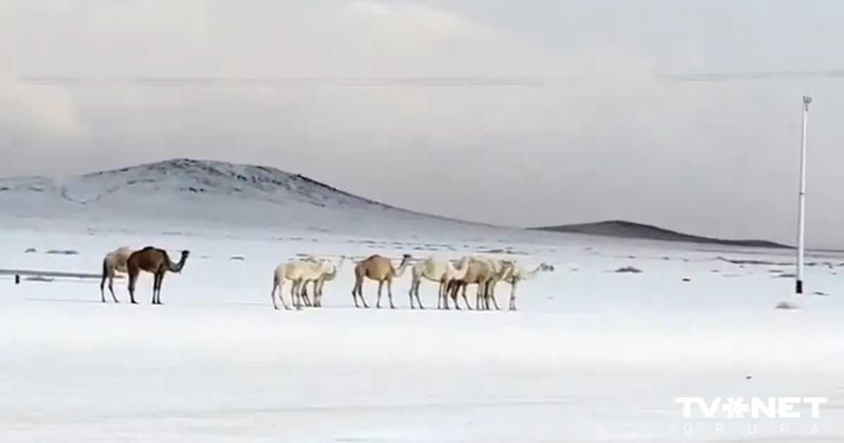 Saūda Arābijas tuksnesī uzsnidzis sniegs