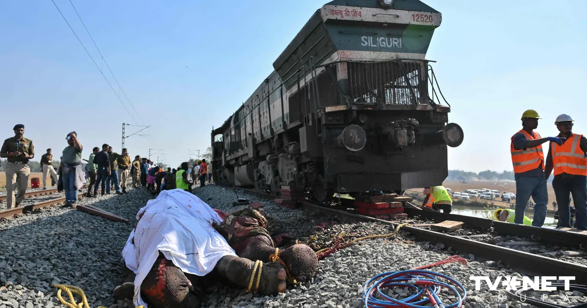 Indijā ātrvilciens sadūries ar ziloņu baru: vairāki dzīvnieki gājuši bojā