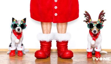 ⟩ Ziemassvētku nedēļas horoskops. Kas tevi gaida?