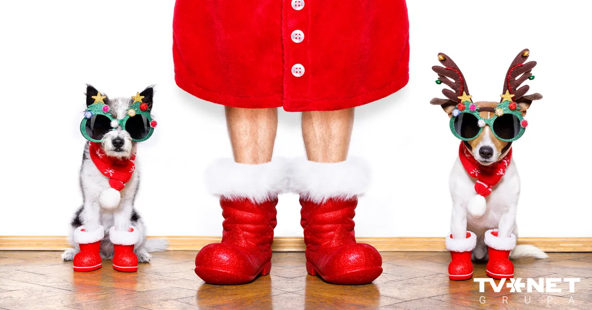 ⟩ Ziemassvētku nedēļas horoskops. Kas tevi gaida?