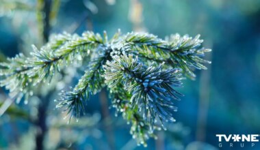Īsi pirms svētkiem līdz pat -10 grādiem liels sals; Ziemassvētkos laikapstākļi mainīsies
