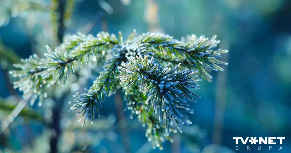 Īsi pirms svētkiem līdz pat -10 grādiem liels sals; Ziemassvētkos laikapstākļi mainīsies