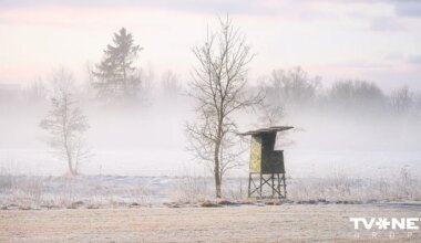 Otrdiena būs saulainākā un aukstākā diena šajā ziemā