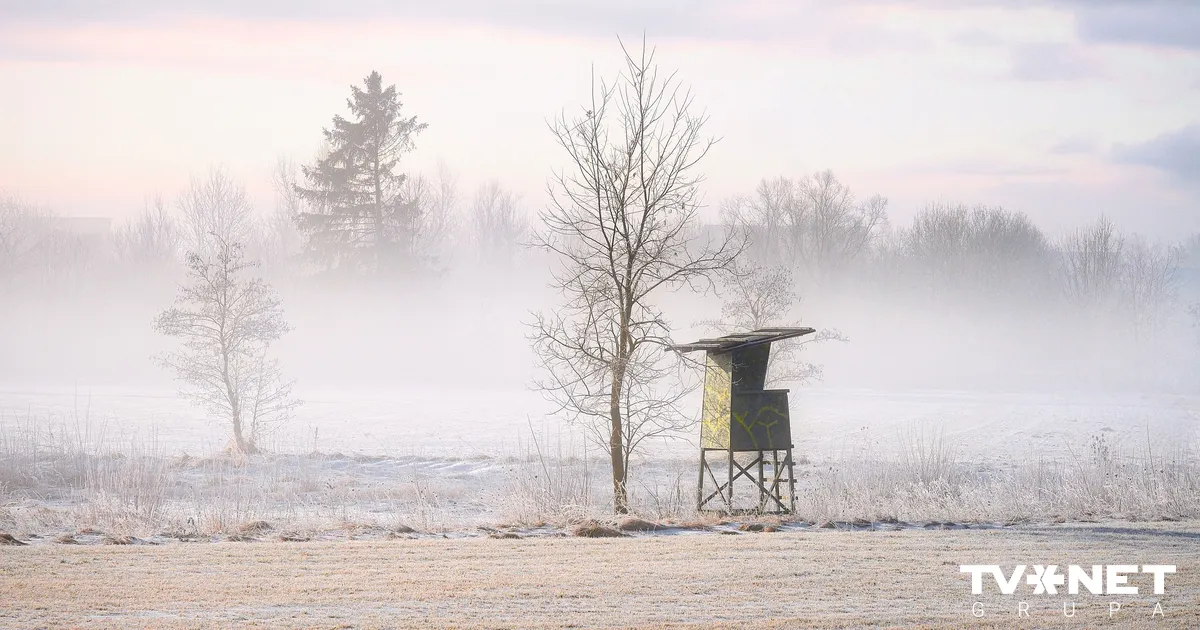 Otrdiena būs saulainākā un aukstākā diena šajā ziemā
