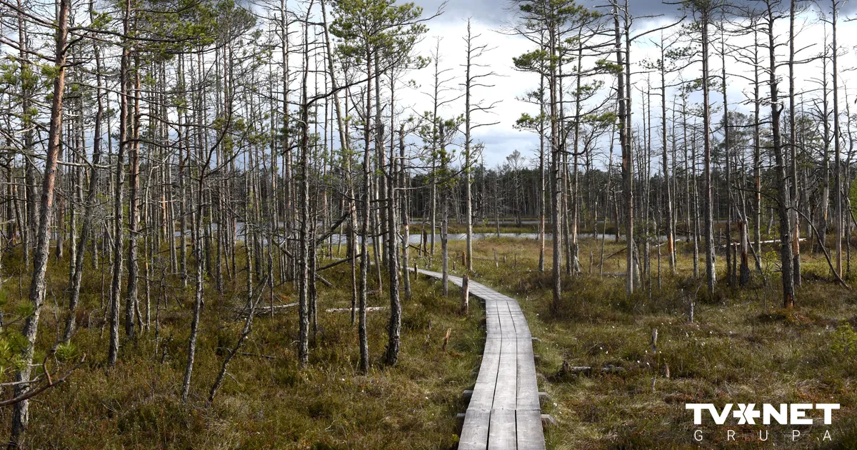 Satversmes tiesa skatīs lietu par dabas resursu nodokļa aprēķināšanu