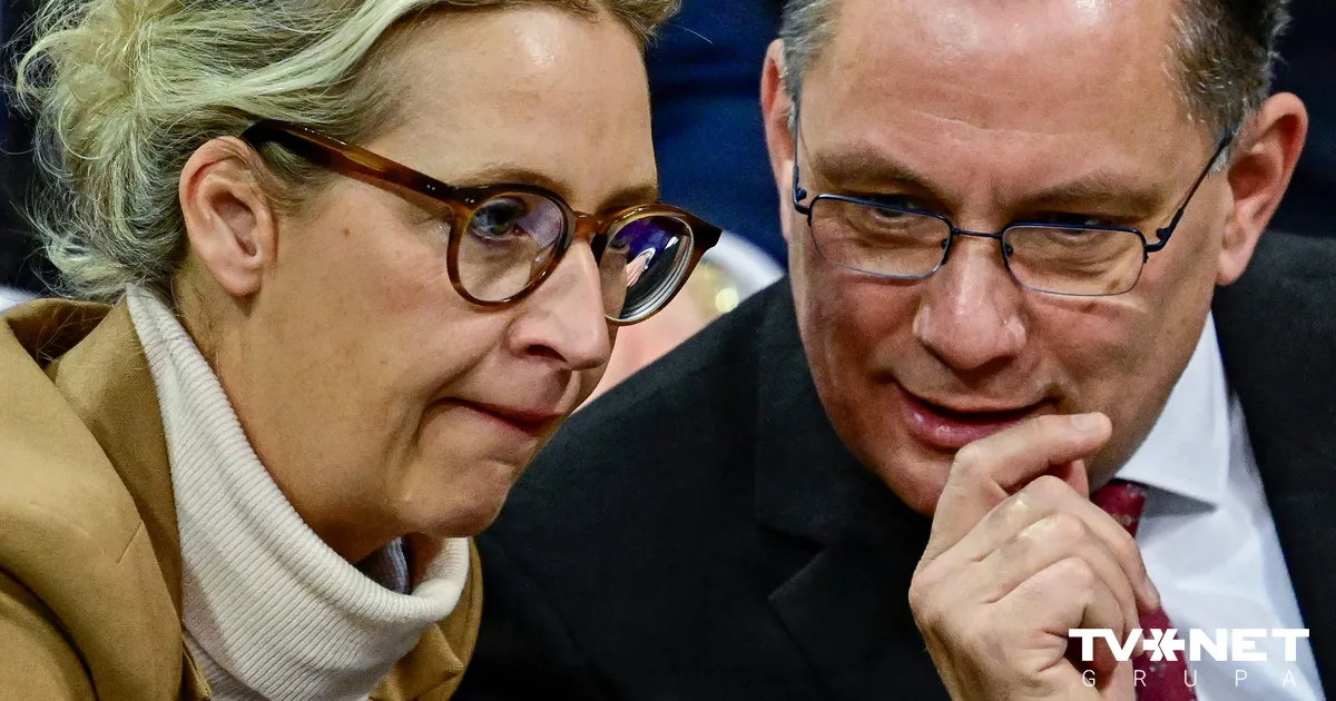 Valdības uzraudzība vai spiegošana? "Alternatīva Vācijai" kritizēta par drošības informācijas ievākšanu