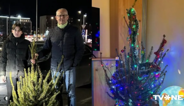 "Man visneglītāko egli, lūdzu!" Lietuvietis piekopj neparastu Ziemassvētku tradīciju