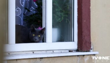 Sestdien vietām Latvijā varētu izsludināt oranžās pakāpes brīdinājumu par ļoti stipru vēju