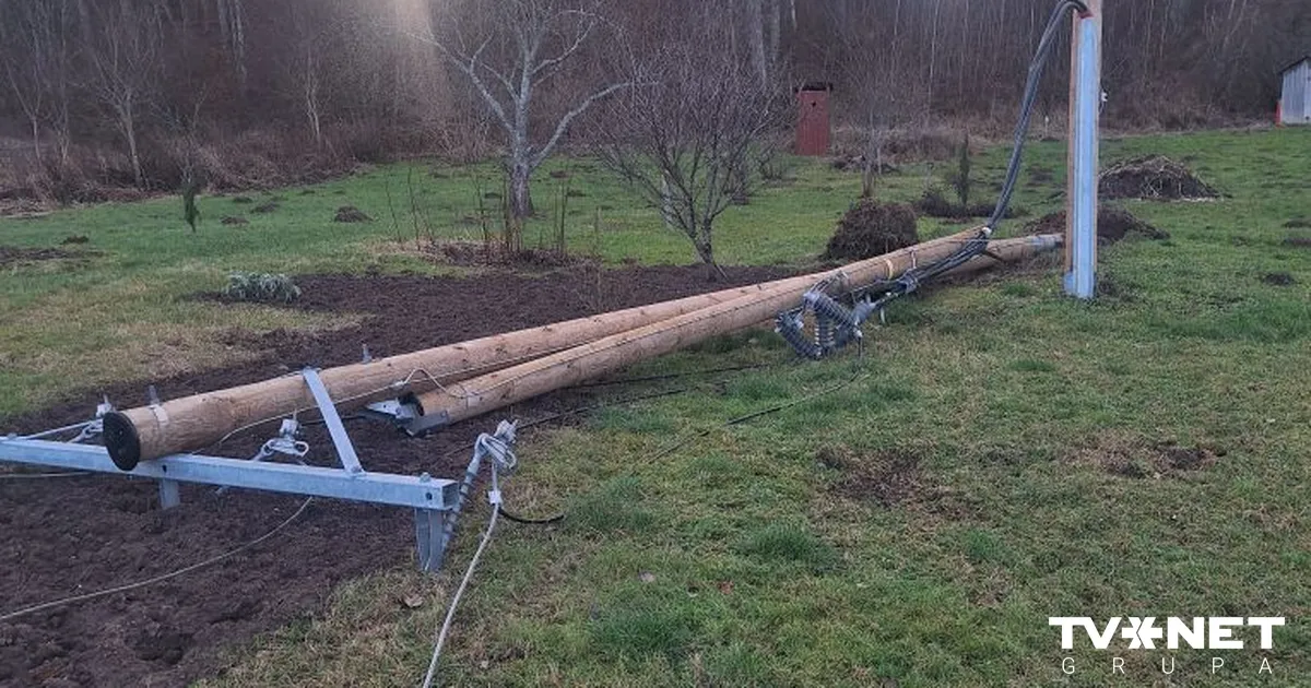 FOTO ⟩ "Sadales tīkls" novērsis 320 vētras izraisītos elektrotīkla bojājumus