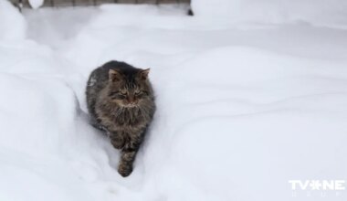 Vecgada dienā vietām gaisa temperatūra noslīdēs zem -10 grādiem