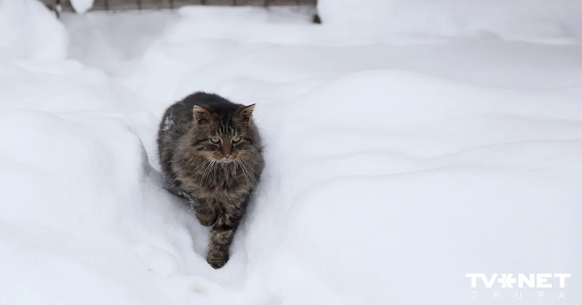Vecgada dienā vietām gaisa temperatūra noslīdēs zem -10 grādiem