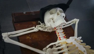 Dāvja Sīmaņa jaunā dokumentālā filma "Frankenšteins 2.0" pievēršas nemirstības meklējumiem