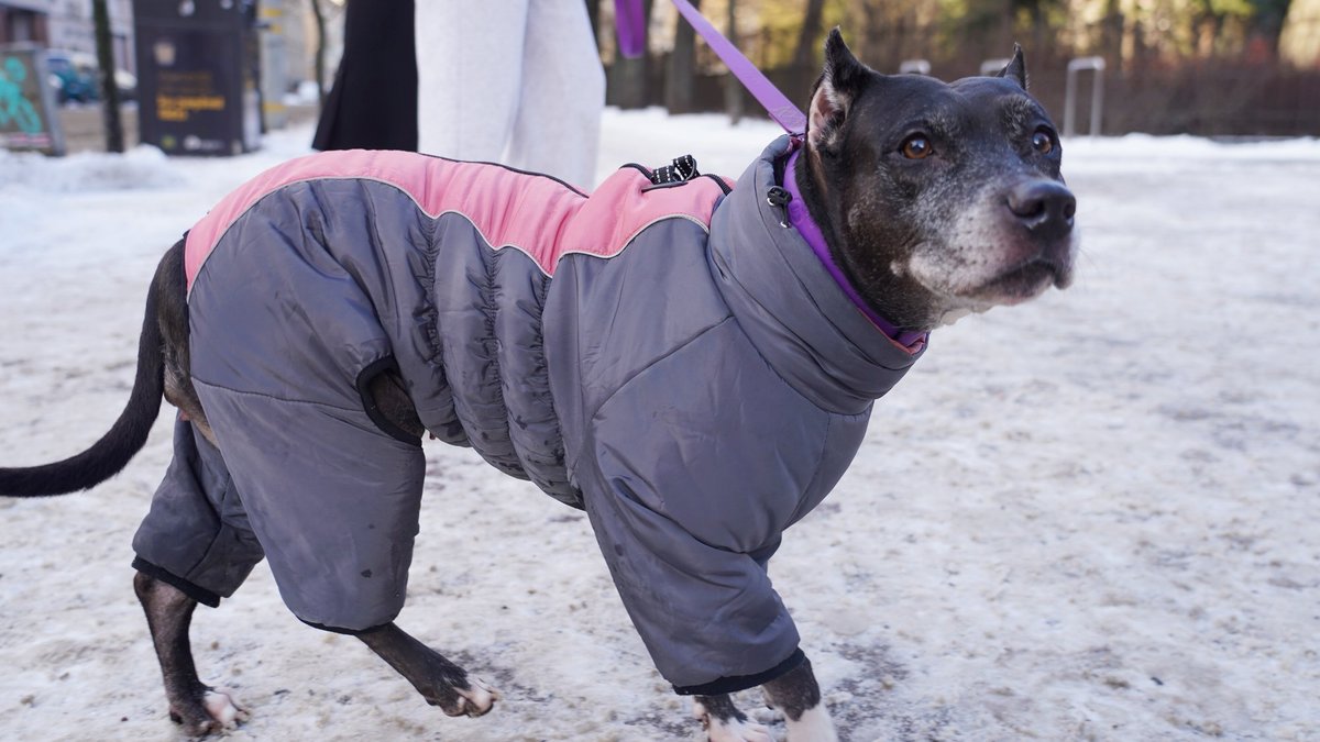 Auksts laiks un pat putenis. Kur skaistāk – sniegotajā Rīgā vai Viļņā?