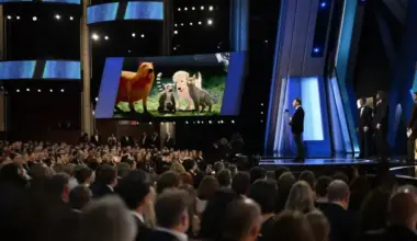 2025. gads Latvijas kino: Starptautiski panākumi un izaicinājumi uzlabot finansējumu