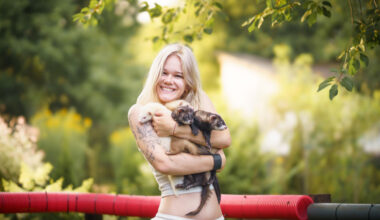 Žiperīgie un inteliģentie blēņdari — mājas seski