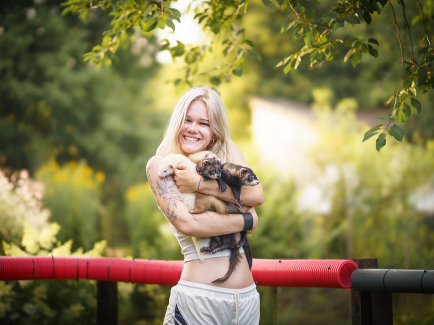 Žiperīgie un inteliģentie blēņdari — mājas seski