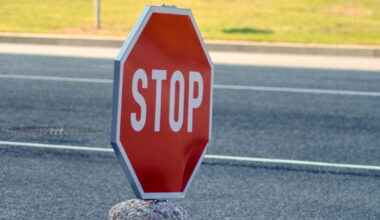 Lietuva nākamnedēļ izsludinās ārkārtējo situāciju saistībā ar kontrabandas baloniem no Baltkrievijas / Diena