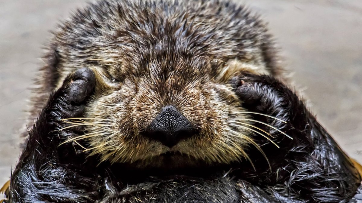 Pirmdien mākoņi bieži vien atnesīs lietu