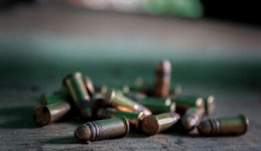 Starptautiskā ieroču tirdzniecība pērn sasniegusi rekordaugstu līmeni :: Dienas Bizness