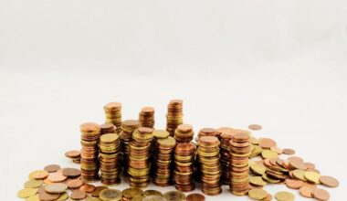 Fiskālās disciplīnas padomi turpmāk vadīs Jānis Priede :: Dienas Bizness