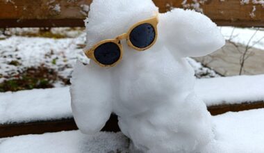 Pēc īslaicīga sala un sniega nākamnedēļ atgriezīsies siltāks laiks