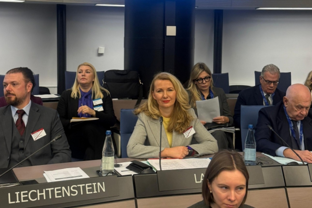 EP izstrādās kopīgu politiku Eiropas migrācijas un cilvēktiesību piemērošanas jomā