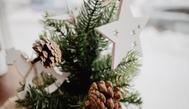 Rīga aicina uz sirsnīgiem pasākumiem un koncertiem Ziemassvētkos