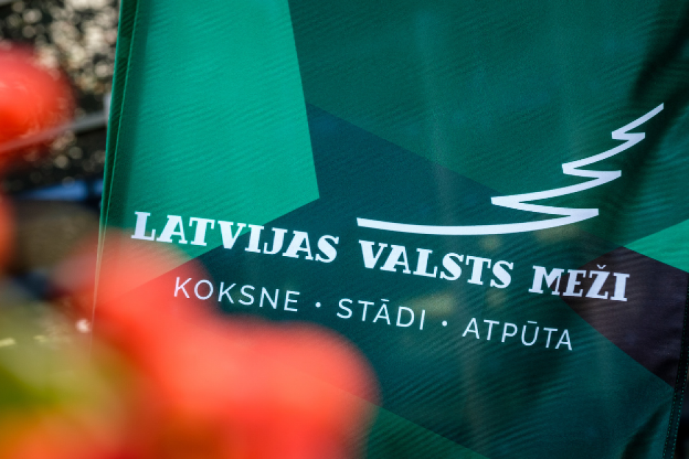 AS “Latvijas valsts meži” – pievilcīgākais darba devējs strādājošo un studentu vidū
