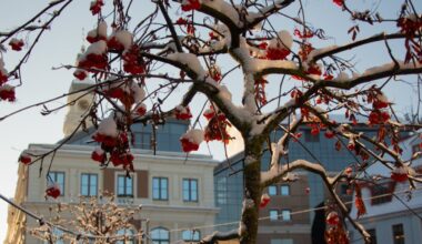 Sestdien paliks aukstāks un iespējams sniegs