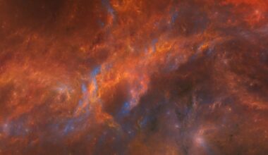 Apvērsums cīņā ar radiāciju - sēne